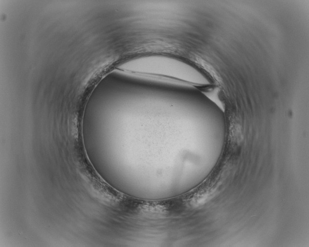 X0000088020403200705251057