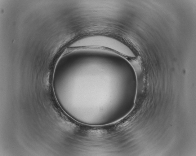 X0000088020404200705251057