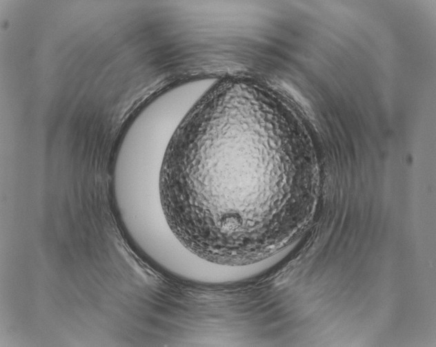 X0000088020405200705251057