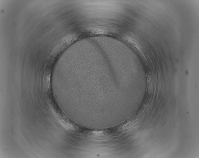 X0000088020406200705251057