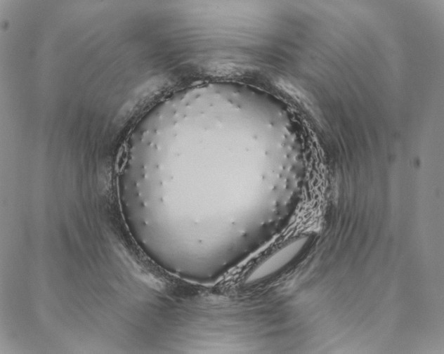 X0000088020407200705251056