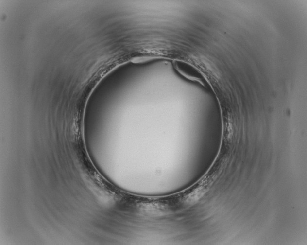 X0000088020408200705251056