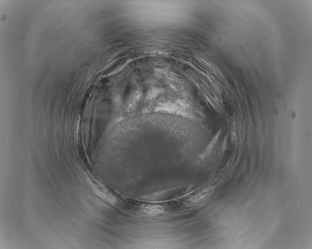 X0000088020409200705251056