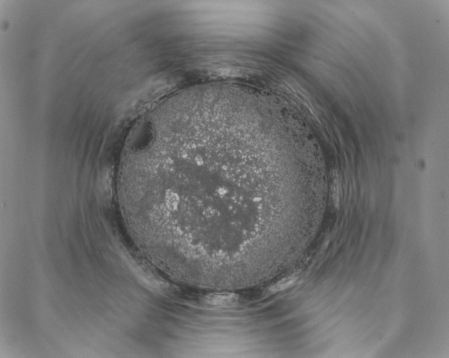 X0000088020410200705251056