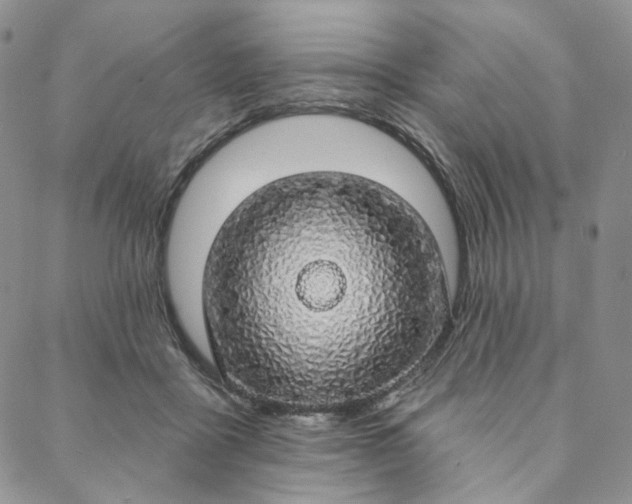 X0000088020411200705251056