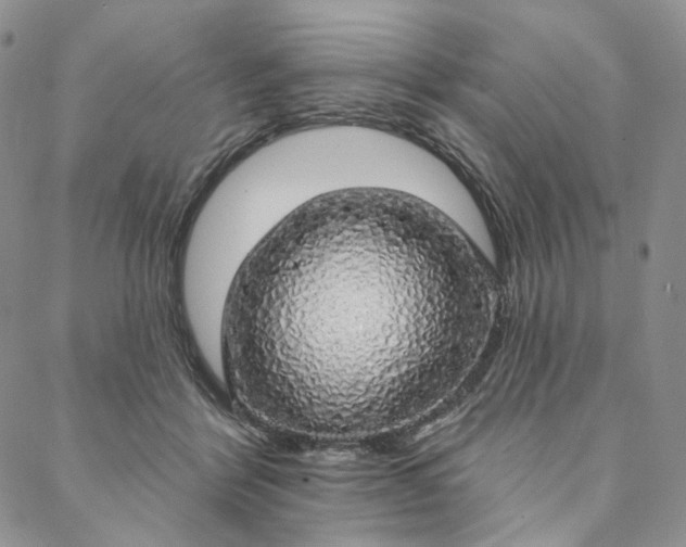 X0000088020412200705251056