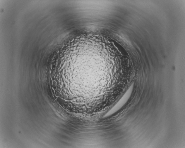 X0000088020413200705251056