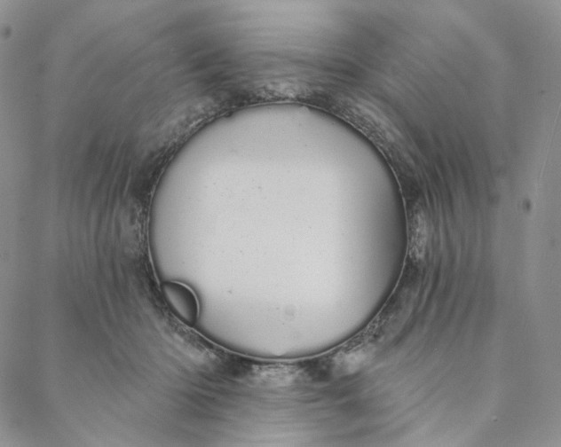 X0000088020414200705251056