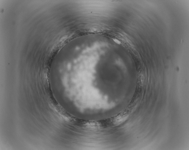 X0000088020415200705251056