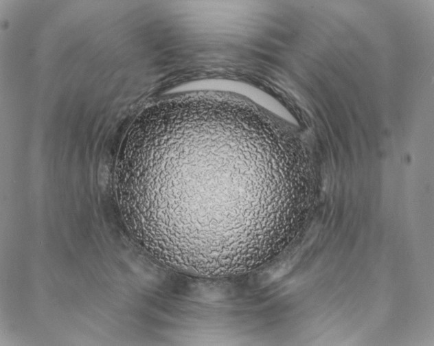 X0000088020417200705251056