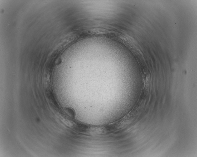 X0000088020418200705251056