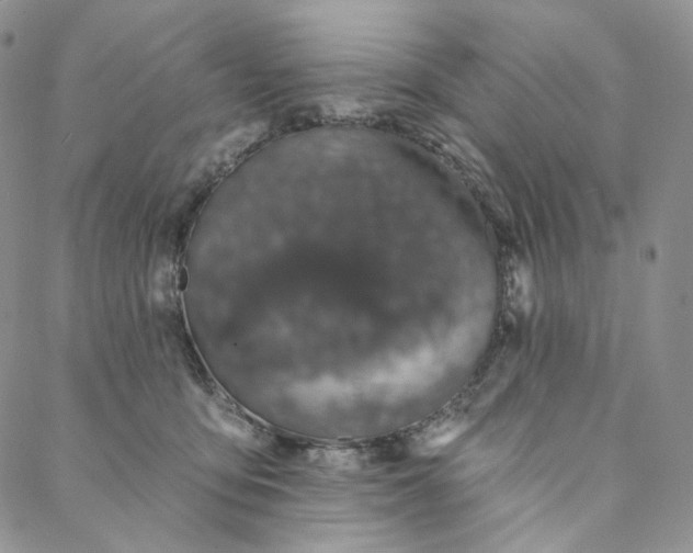 X0000088020419200705251056