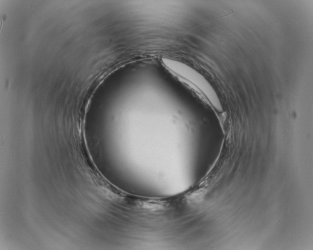 X0000088020420200705251056