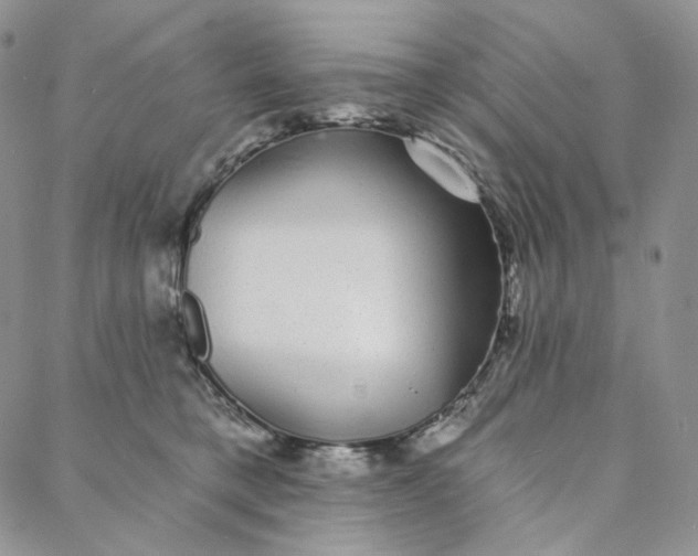 X0000088020421200705251056