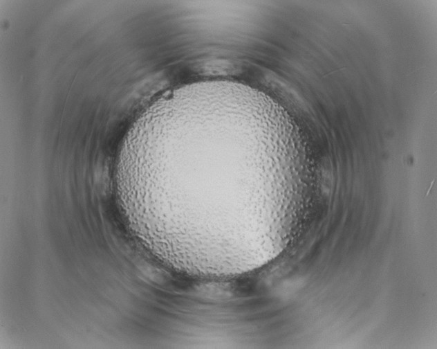 X0000088020422200705251056