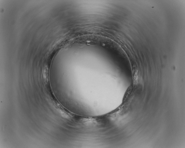 X0000088020424200705251056