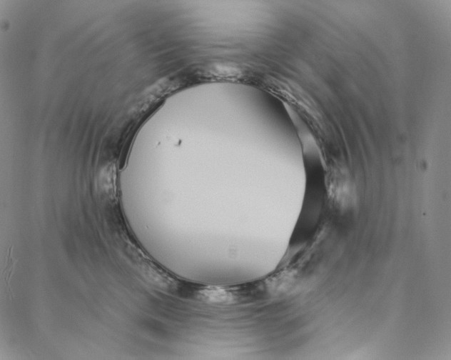 X0000088020425200705251056