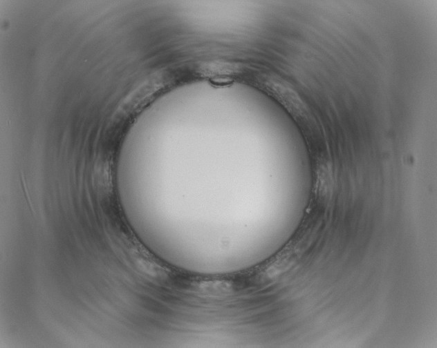 X0000088020426200705251056