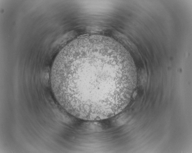 X0000088020427200705251056