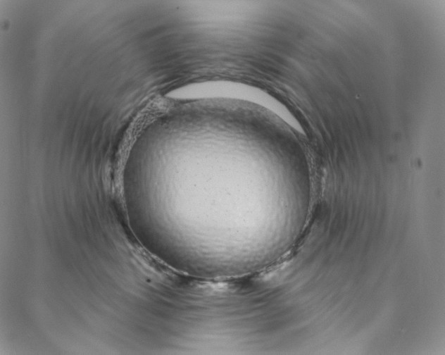 X0000088020428200705251056