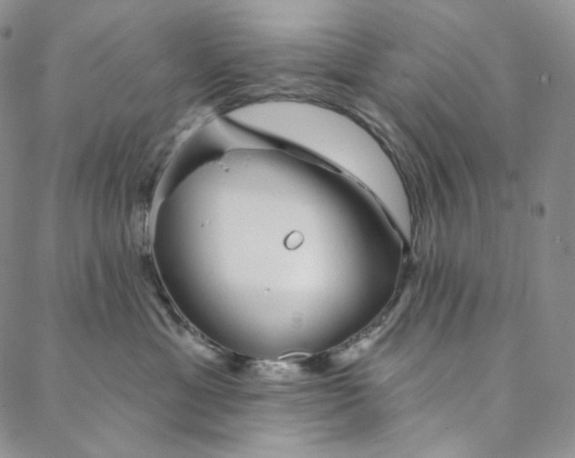 X0000088020429200705251056