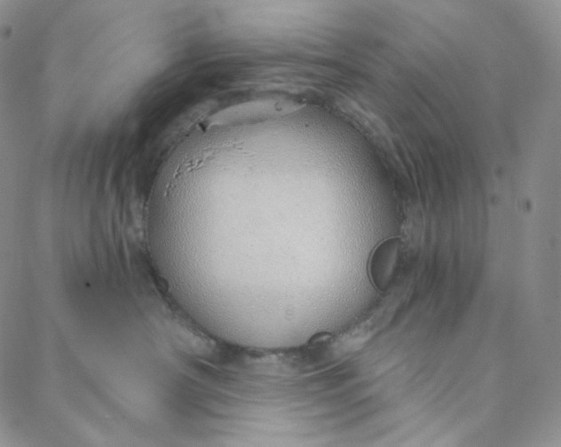 X0000088020430200705251056