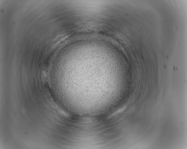 X0000088020432200705251056