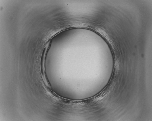 X0000088020433200705251055