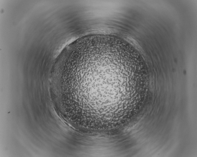 X0000088020434200705251055