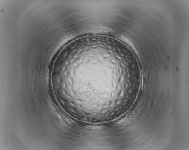 X0000088020435200705251055