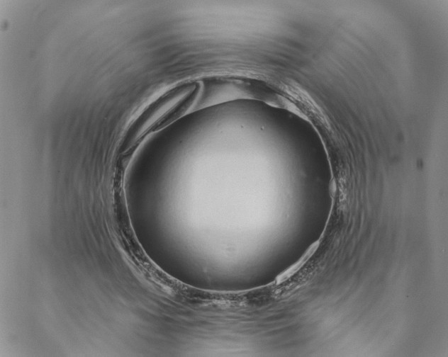 X0000088020436200705251055