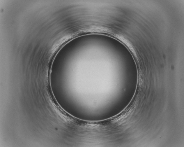 X0000088020437200705251055