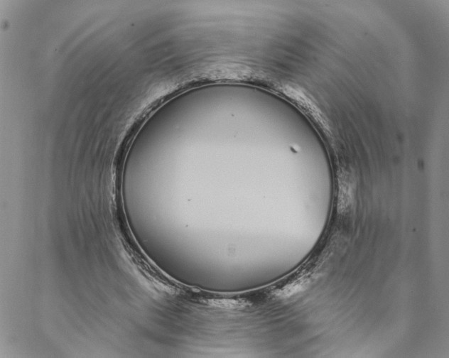 X0000088020439200705251055