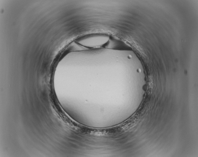 X0000088020440200705251055