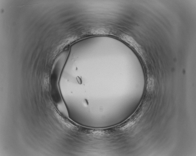 X0000088020441200705251055