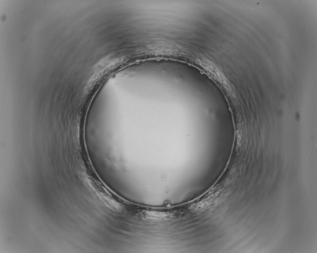 X0000088020442200705251055