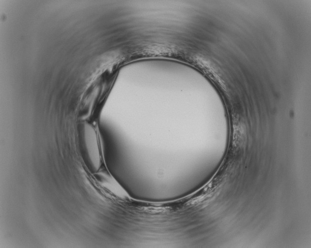 X0000088020443200705251055