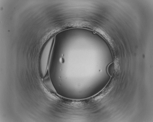 X0000088020445200705251056