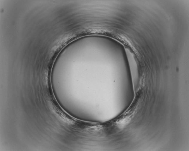 X0000088020447200705251056