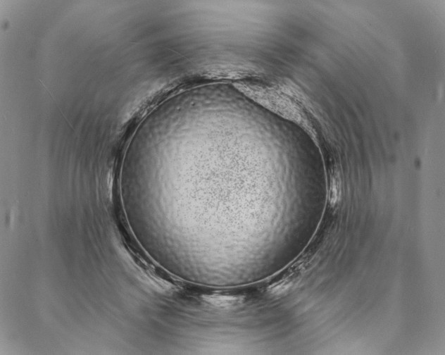 X0000088020448200705251056