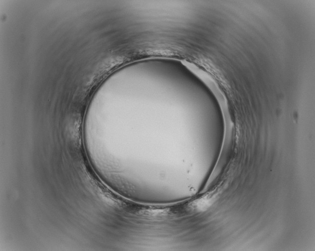 X0000088020449200705251056