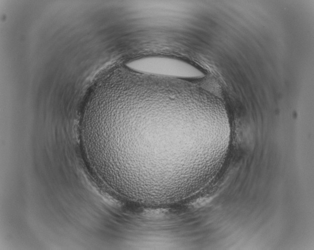 X0000088020450200705251056