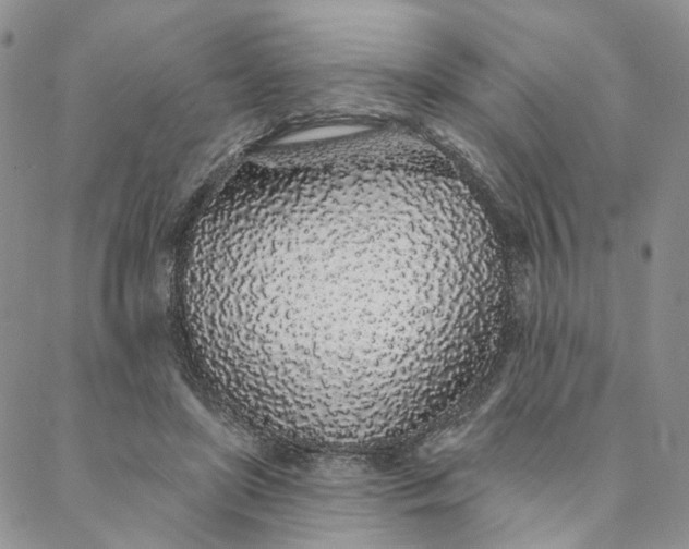 X0000088020451200705251056