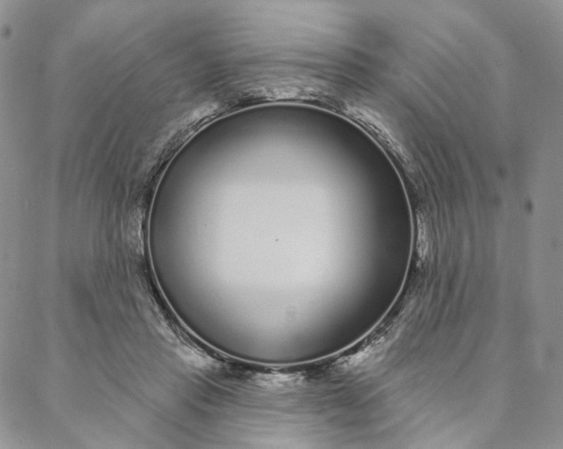 X0000088020453200705251056