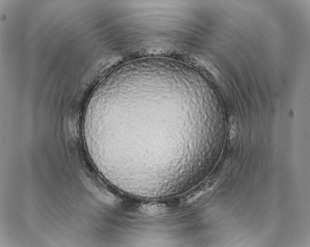 X0000088020455200705251056