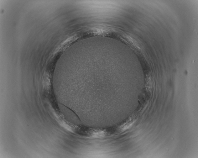 X0000088020456200705251056