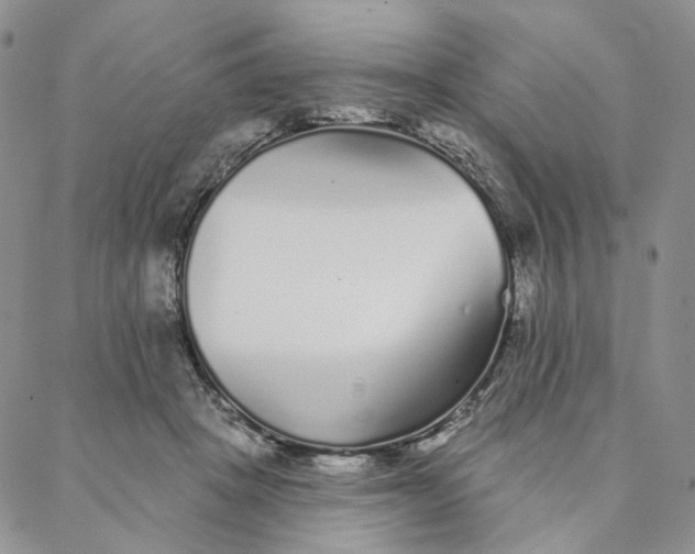 X0000088020457200705251056