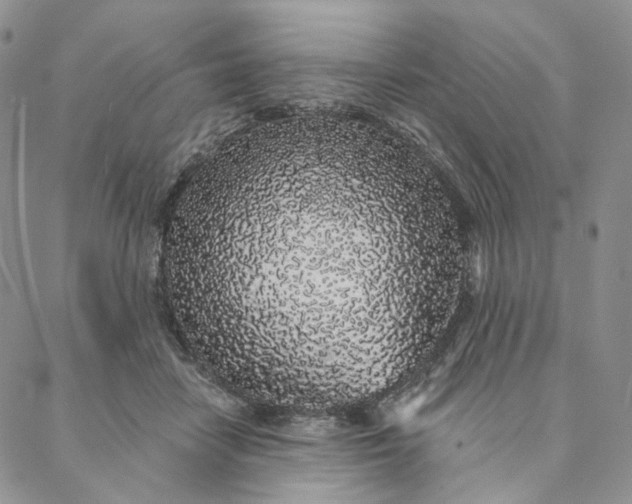 X0000088020458200705251056