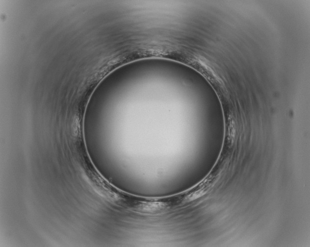 X0000088020459200705251056