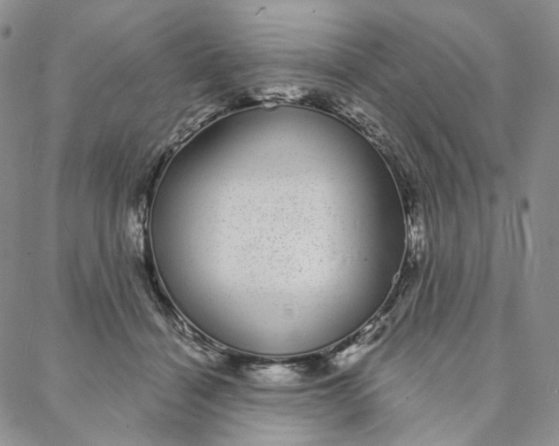 X0000088020460200705251056